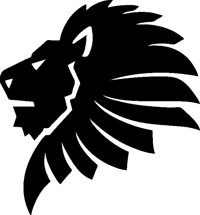 Pegatina vehículo León