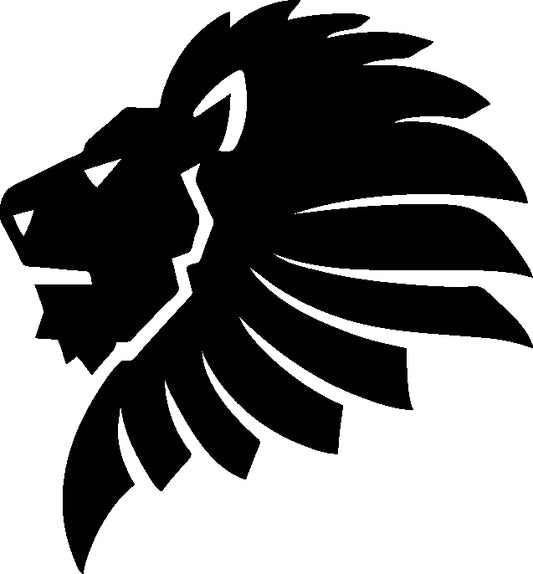 Pegatina vehículo León